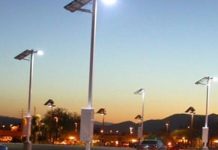 Green Lighting & SME Vendor Development