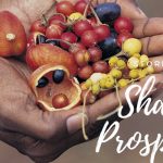 Playing a Bigger Role with Big Data – Shared Prosperity Vision