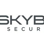 Skybox Security Logo