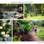 Central-Park-YOO-Villas