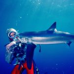 25_RVT390_MASTER_B004_-_031