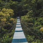 jacob-tabo-sustainability concept-unsplash_resized