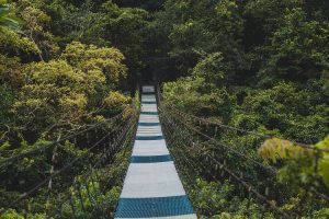 Photo for illustrative purposes only. Hanging Bridge in Masungi Georeserve in Tanay, Rizal, Philippines. Jacob Tabo/Unsplash