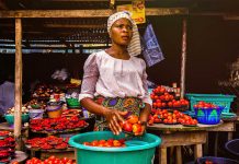 International experts agree during EatSafe’s panel discussion: Without food safety, there is no food security Photo for illustrative purposes only. Portrait of a woman selling tomatoes and peppers in Lagos, Nigeria. 3 December 2019. Photo by Omotayo Tajudeen/Unsplash