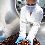 walter-otto-qJ249_JzEL0-unsplash