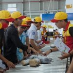 160251-DHL_GoTeach_Vietnam.jpg.500×0