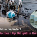 2022-09-07-ENG-Microbes-to-Clean-Up-Oil-Spill-in-the-Ocean2