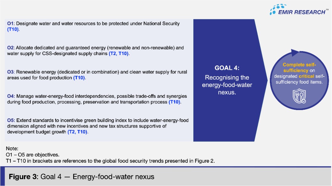 Figure 3: Goal 4 - Energy-food-water nexus | Source: EMIR Research