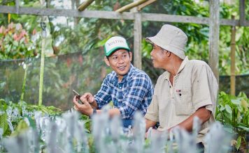 Koltiva supports 1,000,000+ producers to improve their livelihoods and increase their annual income. | Photo by Koltiva and AC Ventures/NHA File Photo