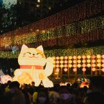 catgirlmutant-Z5W13VwPajo-unsplash