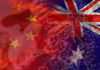 China's and Australia's flags in the foreground. In the background is a man harvesting Australia's number one wine grape, the Australian Shiraz (Photo by: Wine Australia)
