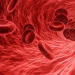 Red_Blood_Cell_wikimedia commons_By Arek Socha – Pixabay_CC0_r