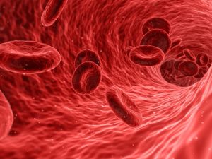Human red blood cells. Illustrated by By Arek Socha - Pixabay via Wikimedia Commons / CC0