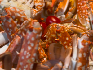 Crab in the Seafood Spread at the Kembara Cita Rasa Nusantara buffet, Charcoal, The Saujana Hotel Kuala Lumpur, Malaysia. | Photo by The Saujana Hotel / NHA File Photo