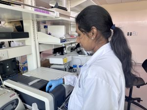 SMART CAMP's senior research engineer Shruthi Pandi Chelvam using the UV absorbance spectrometer to measure the absorbance spectra of cell culture samples. | Photo: SMART CAMP / NHA File Photo