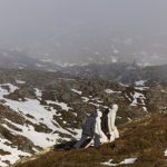 Travel Brand – Top fashion in Japan