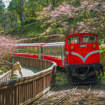 Taiwan_Railway in Alishan Forest Recreation Area_NHA File Photo