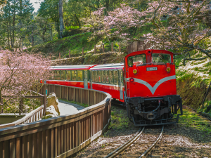 The Alishan Forest Railway in Taiwan is a well-known tourist attraction, offering a unique way to experience the Alishan National Forest Recreation Area. | Photo by Anton Fratila's Images (via Canva Pro) / NHA File Photo