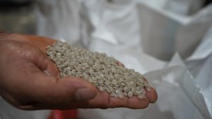 Plastic waste, transformed into reusable raw material — recycled polymer pellets ready for manufacturing. Source: NHA file Photo