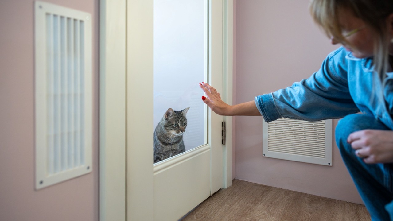 Even when they can’t come with us, their comfort, safety, and happiness stay on our minds every step of the journey. Source: Petsavers